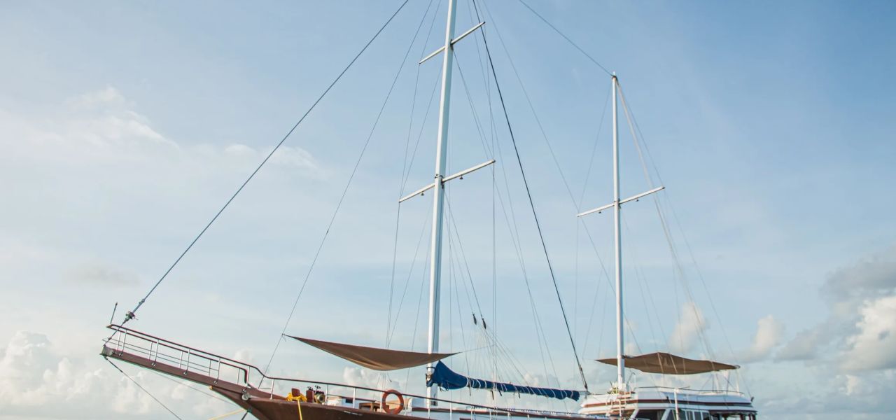 Marine Wildlife of the Maldives