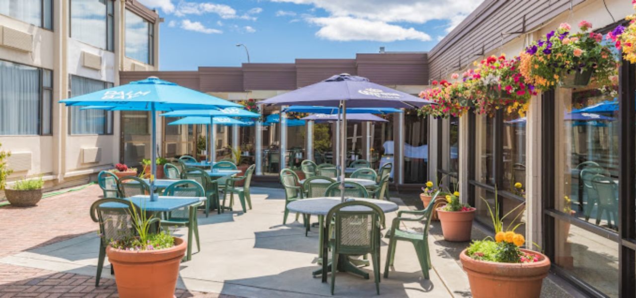 Whales & Bears of British Columbia