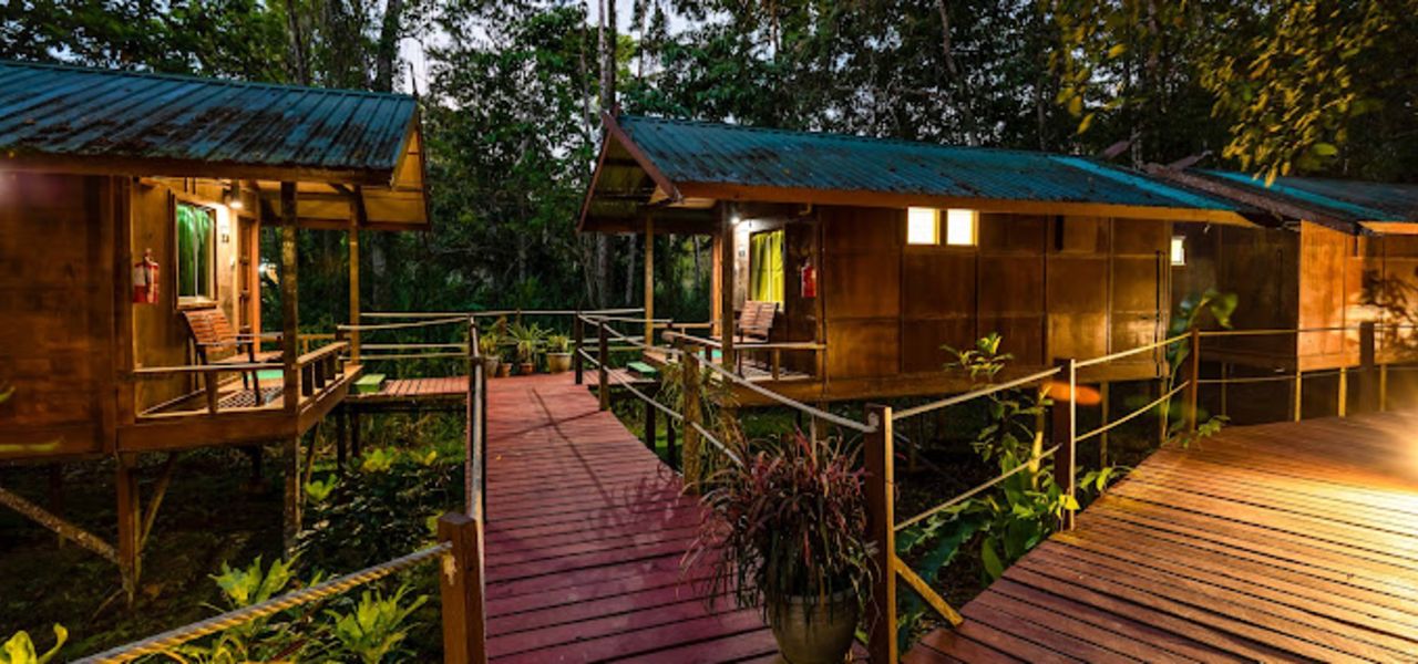 Borneo Wildlife Discoverer