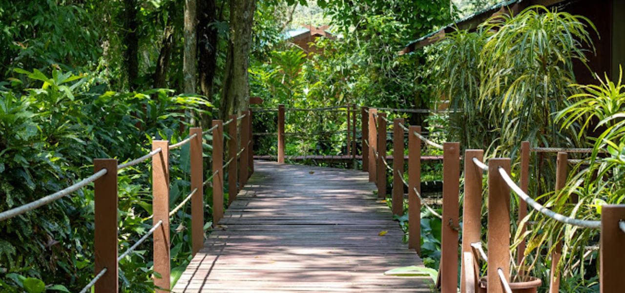 Borneo Wildlife Discoverer