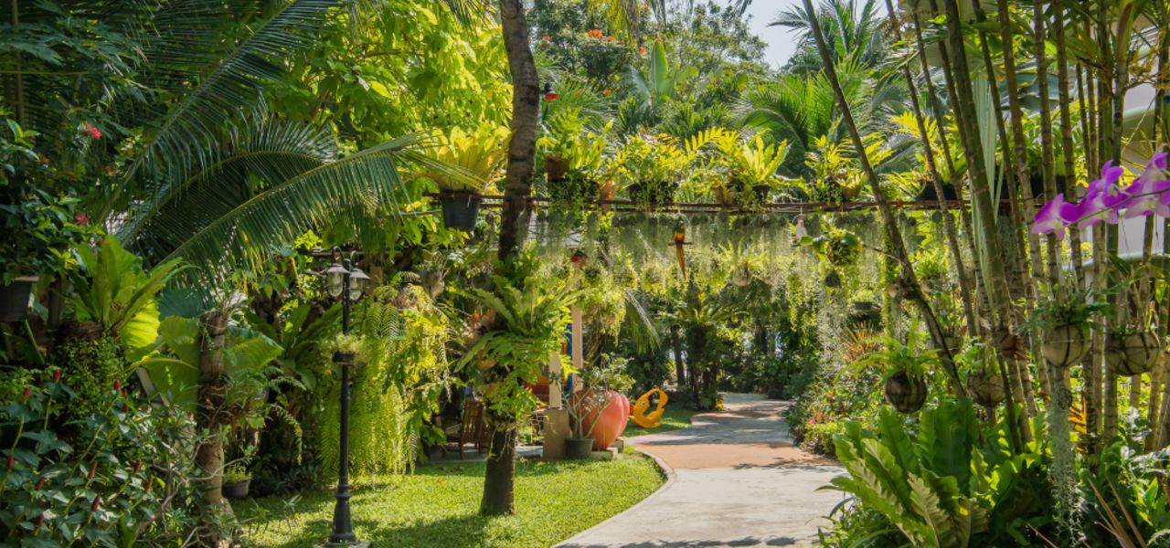 Thailand Family Adventure