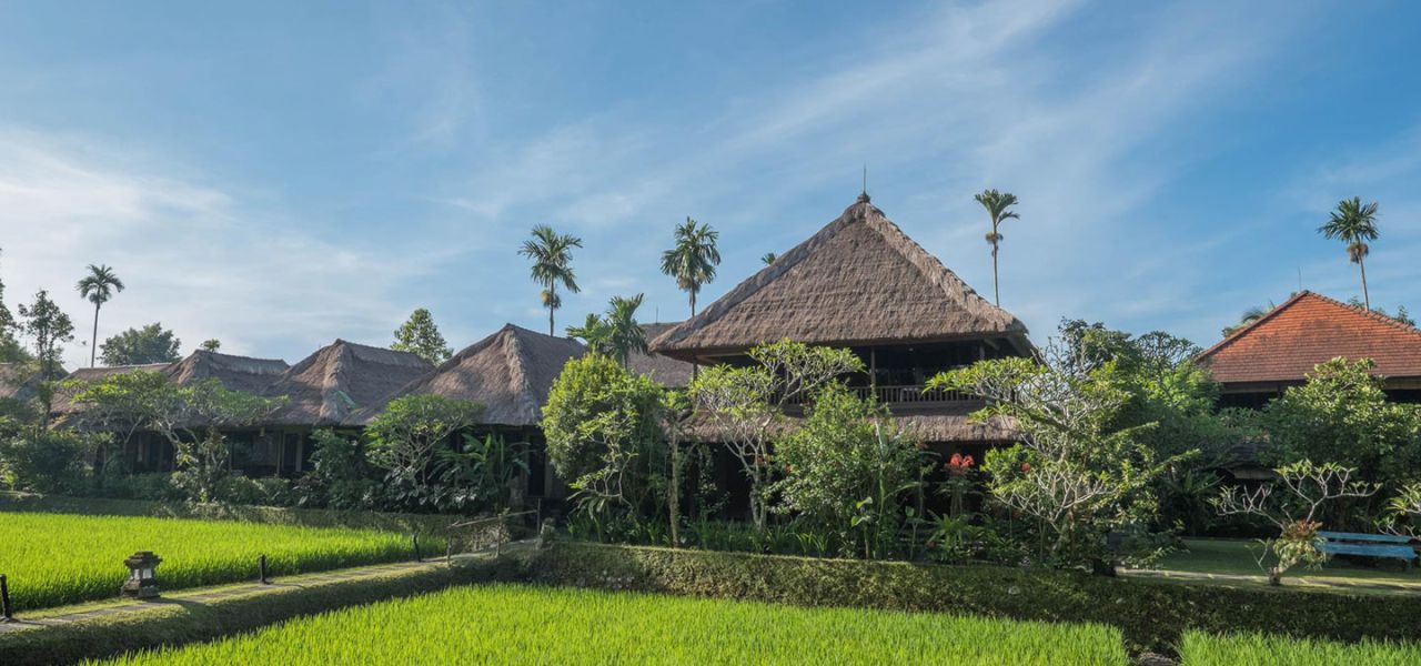 Primates & Dragons of Indonesia