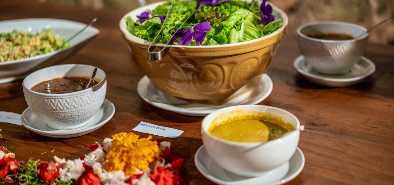 Primates & Dragons of Indonesia