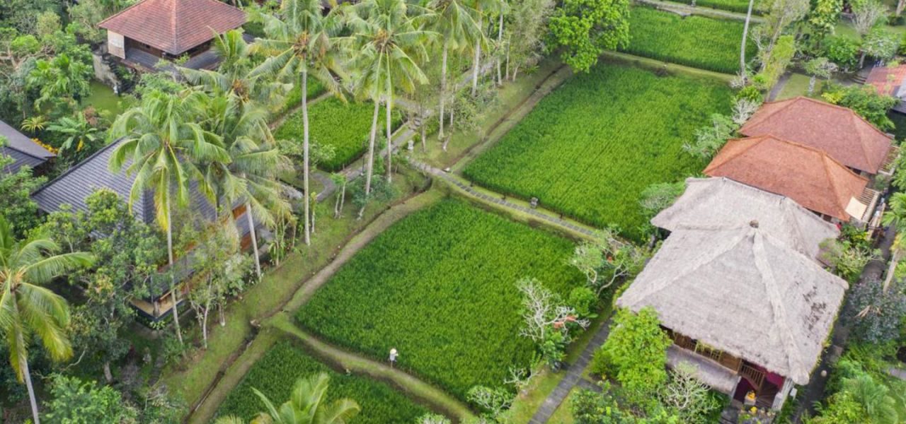 Primates & Dragons of Indonesia