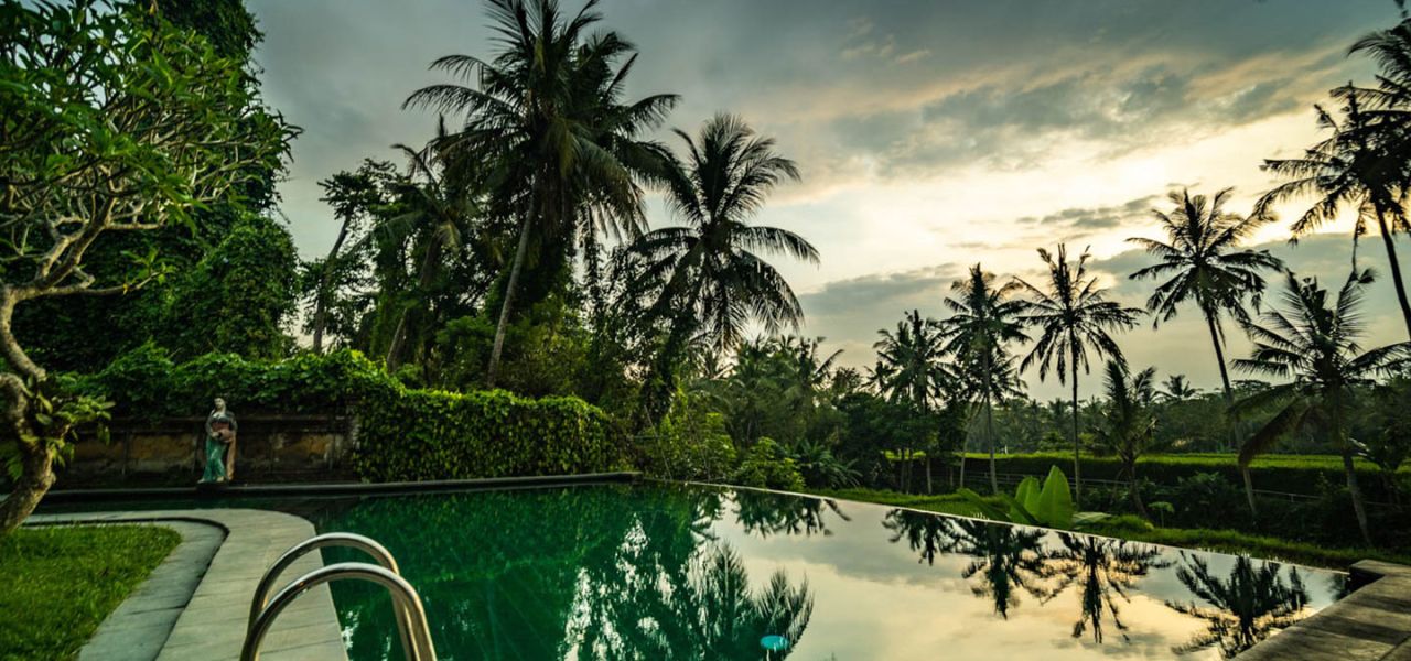 Primates & Dragons of Indonesia