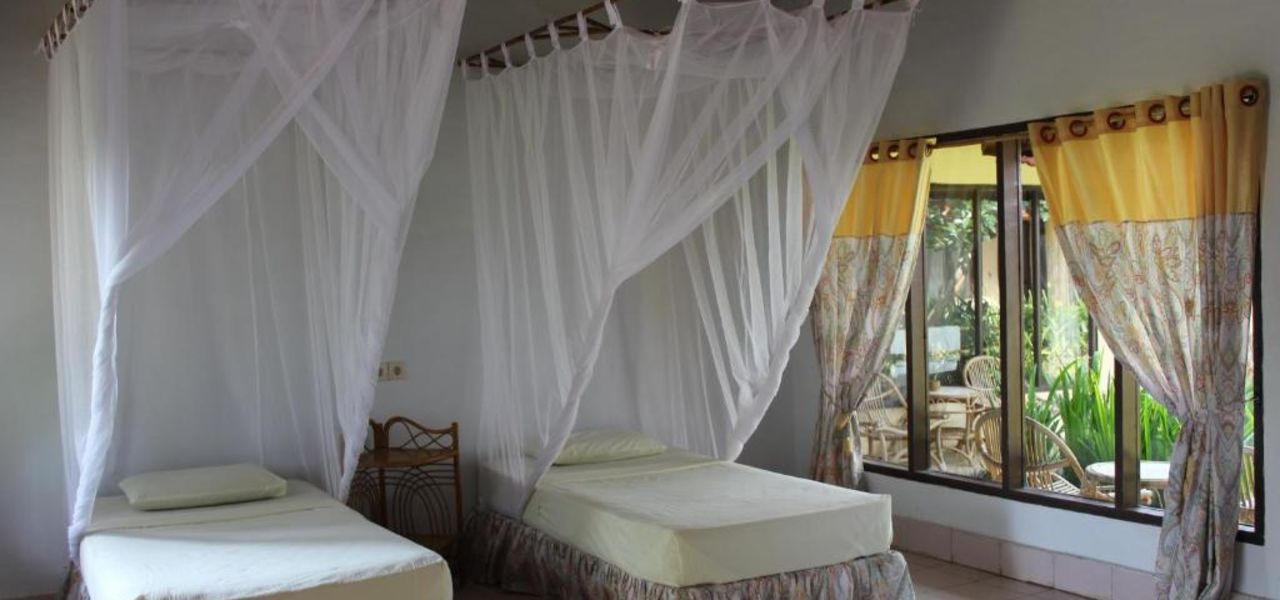 Primates & Dragons of Indonesia