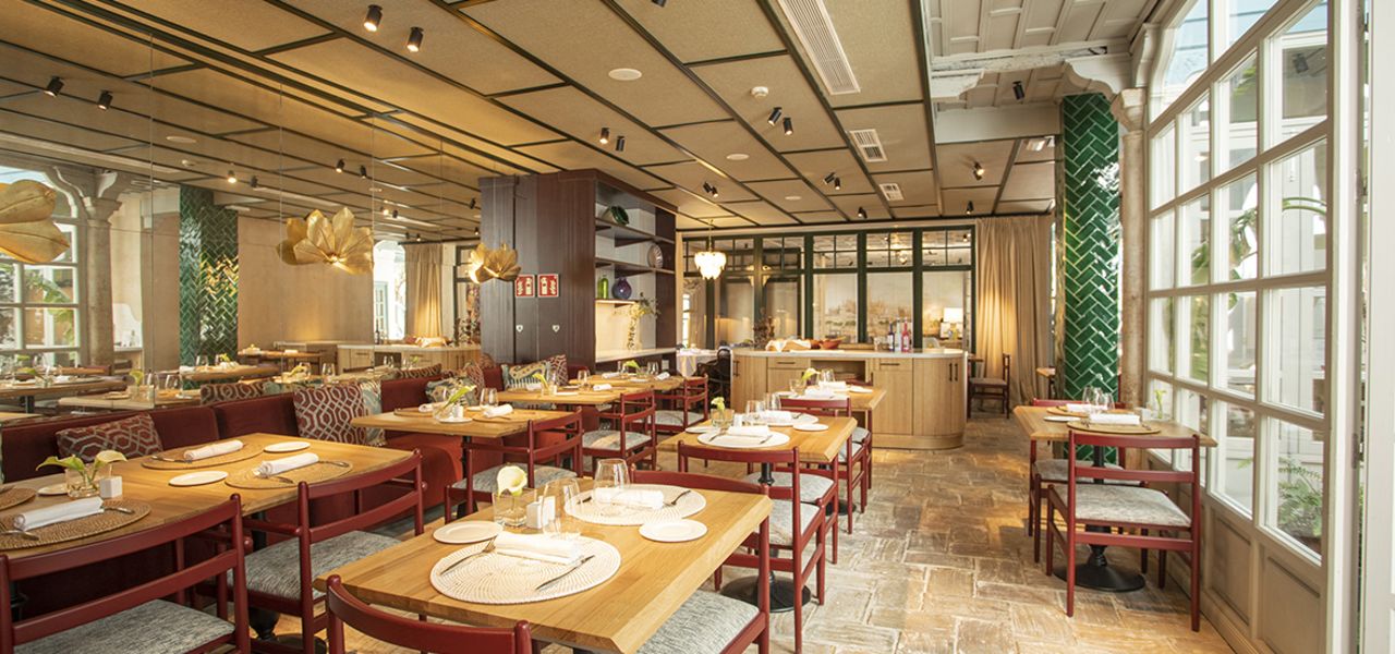 Signature Spain | Light Through Olive Groves