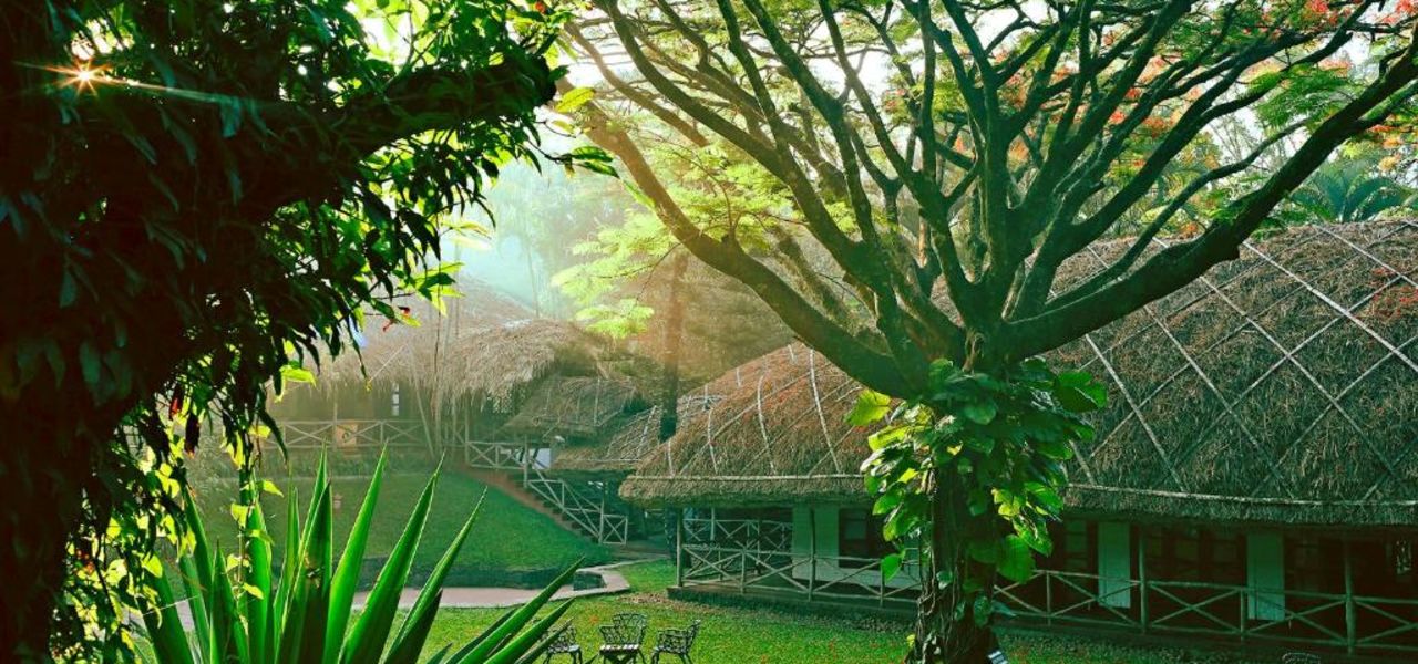 Signature India | Between Spices & Backwaters