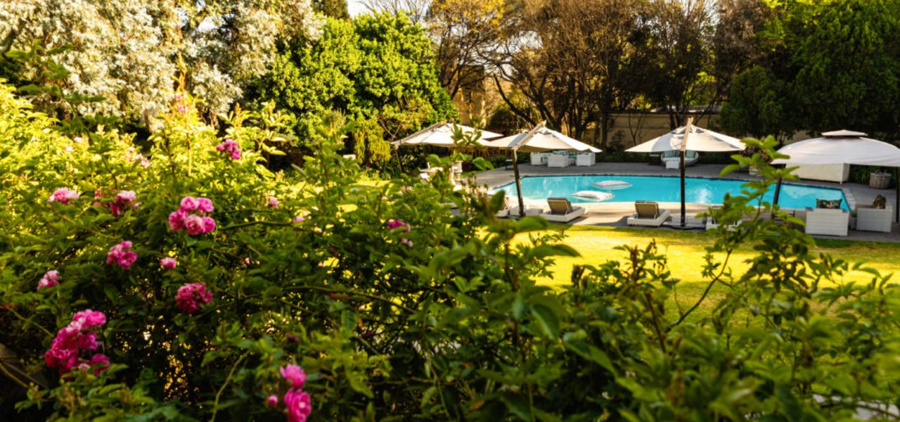 Signature South Africa | Across the Wild Plains