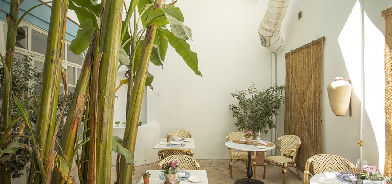 Signature Spain | Light Through Olive Groves