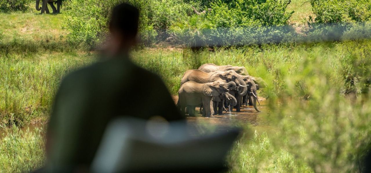 Signature South Africa | Across the Wild Plains