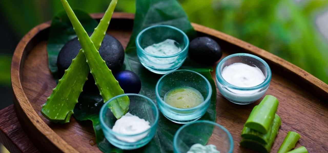 Signature Indonesia | The Sacred Wild Isles