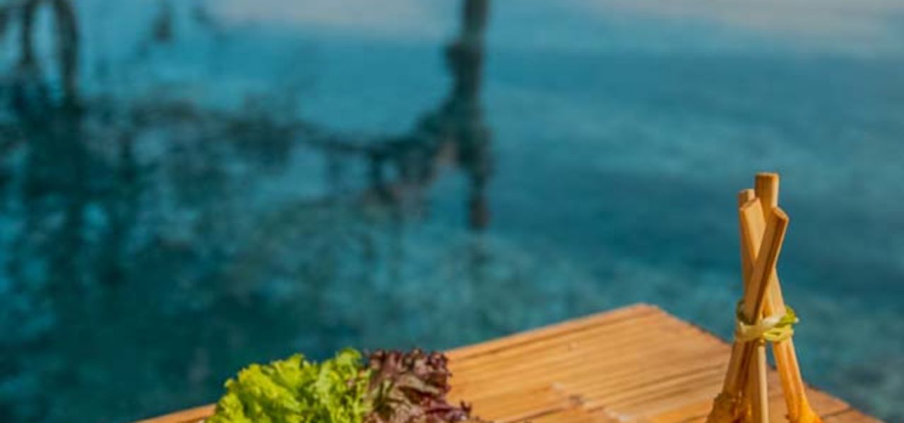 Signature Indonesia | The Sacred Wild Isles