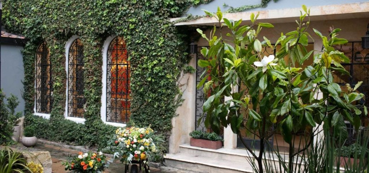 Signature Colombia | Stories Beneath Wax Palms