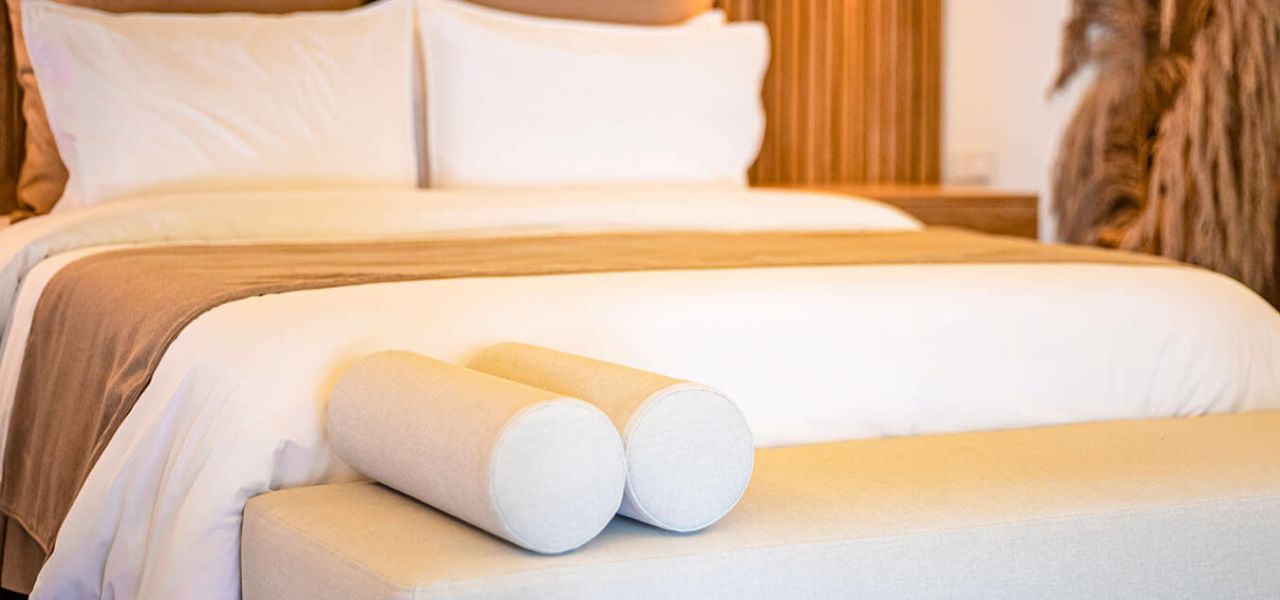 Signature Colombia | Stories Beneath Wax Palms