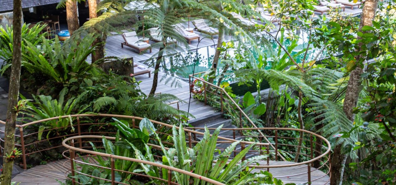 Signature Indonesia | The Sacred Wild Isles