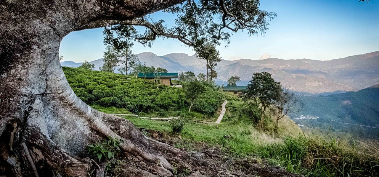 Signature Sri Lanka | The Island of Serendipity