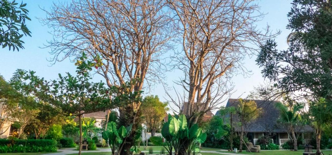 Signature Indonesia | The Sacred Wild Isles