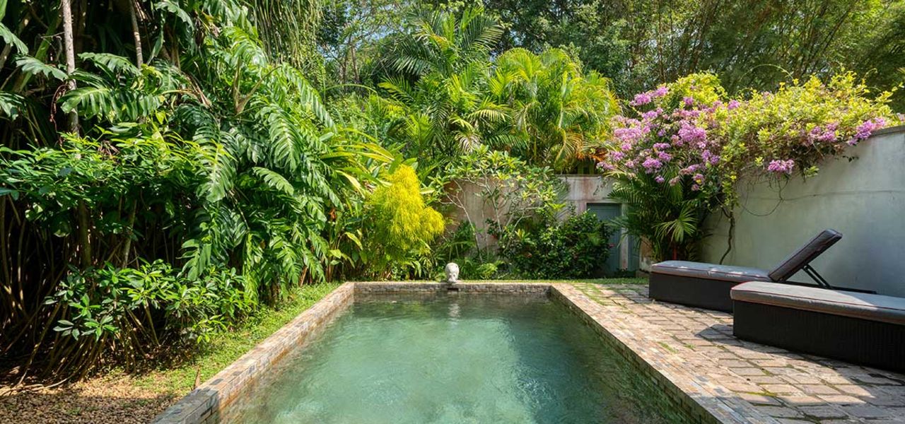 Signature Sri Lanka | The Island of Serendipity