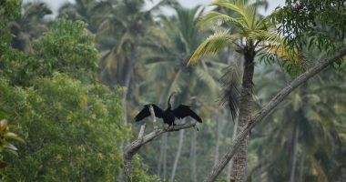 The Taj & Beyond: Your Essential Introduction to Adventure Travel in India