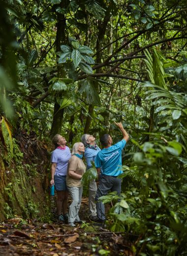<strong>Captivating Costa Rica</strong>