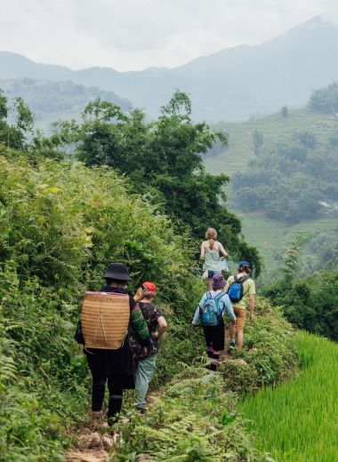 The Primate Survival Project