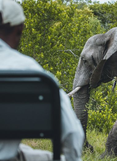 Book Three, You Go Free 