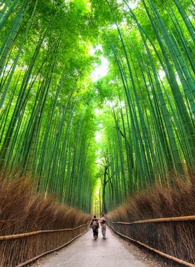Japan, Reimagined: A Deeper Way to Travel
