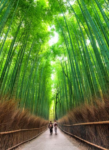 Japan, Reimagined: A Deeper Way to Travel