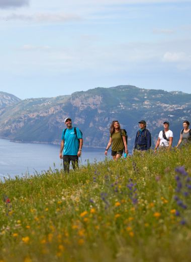 Book Three, You Go Free 