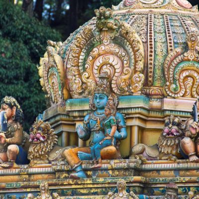 Nibha Vivek Krishnan