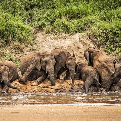 Kruger National Park