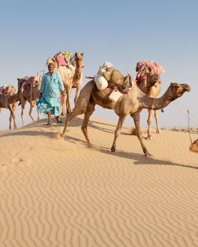 Nordindien: Die Geheimnisse Rajasthans