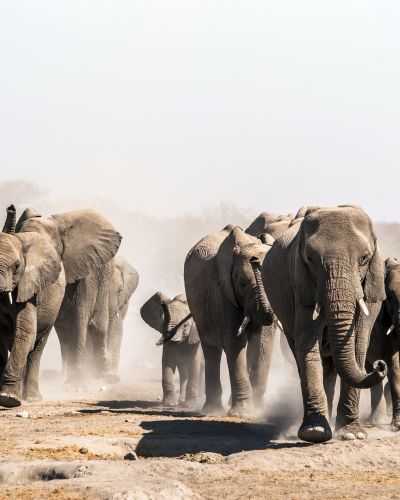 Namibia Travel Guide