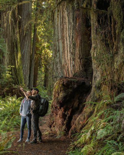 Roadtrip: Nationalparks im Westen der USA