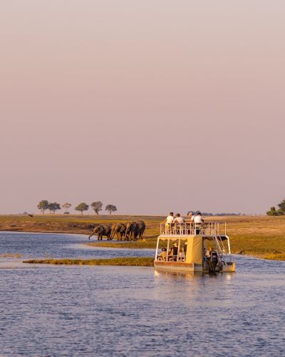 Western Zimbabwe and Botswana Highlights