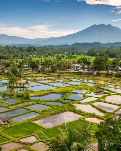 Indonesia: Classic Sumatra