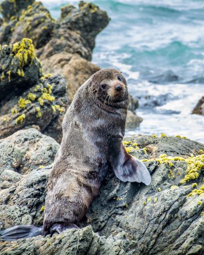 Neuseeland vom Feinsten: Natur, edler Wein und exquisite Unterkünfte