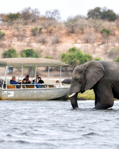 Desert to the Delta: Namibia, Botswana & Victoria Falls