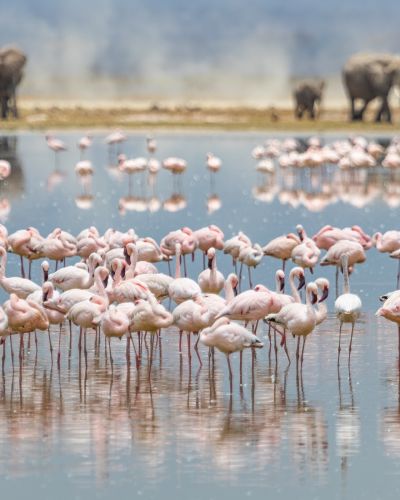 Kenya: Southern Circuit and Beach