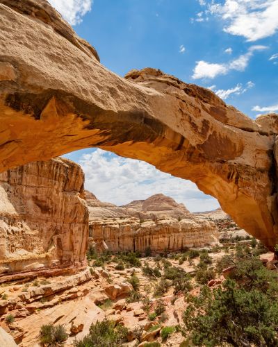 Utah: Nationalparks, Wüste & Las Vegas