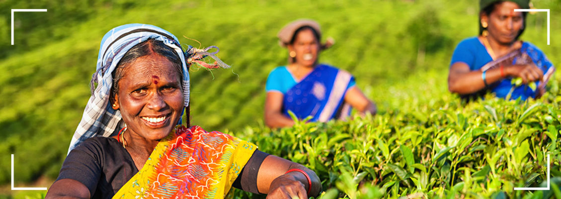 Sri Lanka Culture