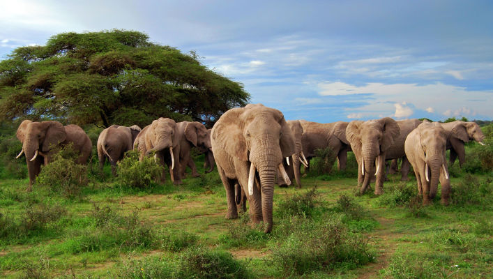 Kidepo Valley National Park