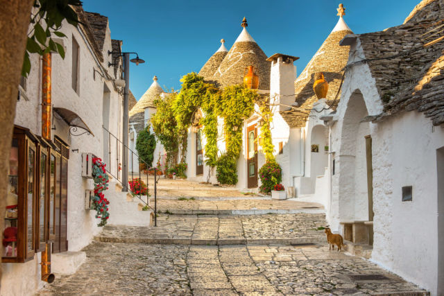 Solo Travel Tours