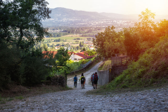 Camino de Santiago