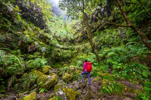 Madeira