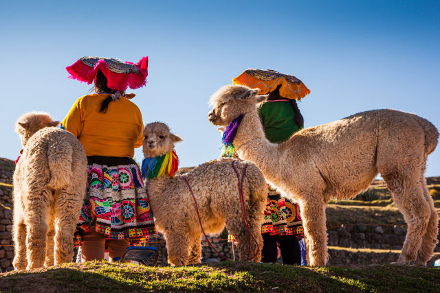 Machu Picchu