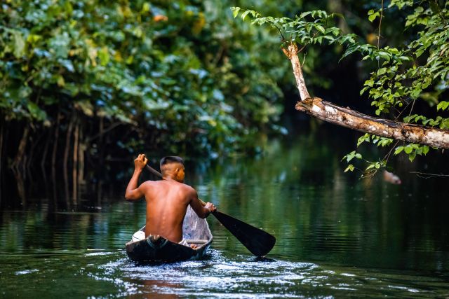 Amazon Rainforest