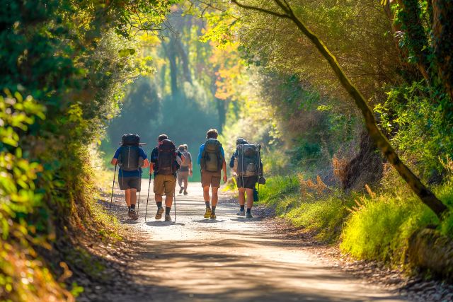 Camino de Santiago