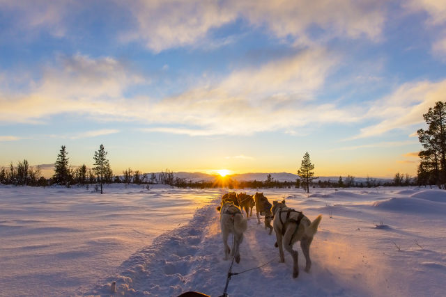 Winter Adventures